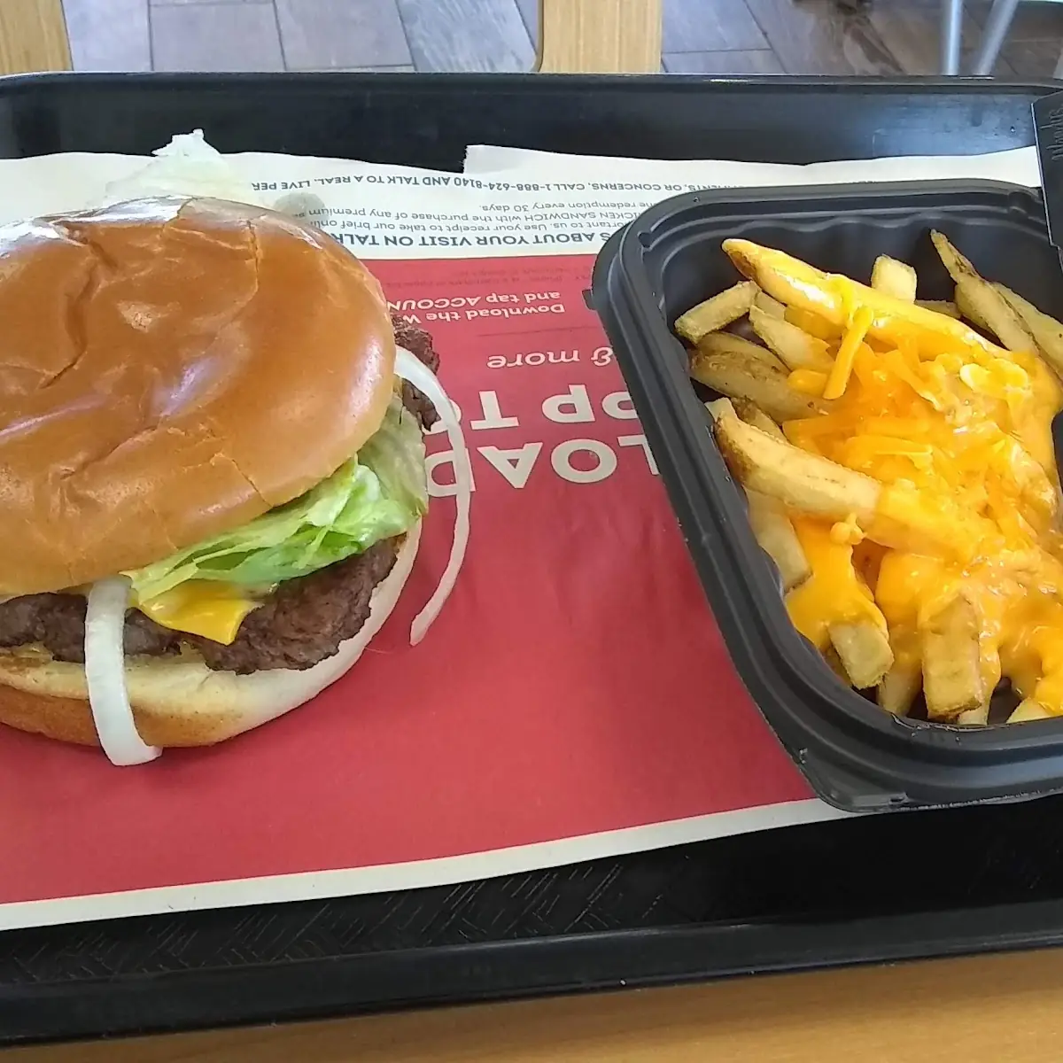 Burger and Cheesy Fries
