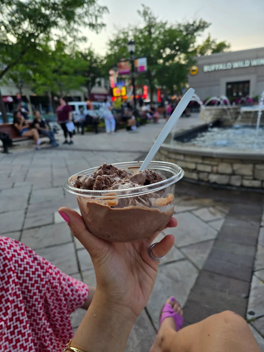 Chocolate Ice Cream