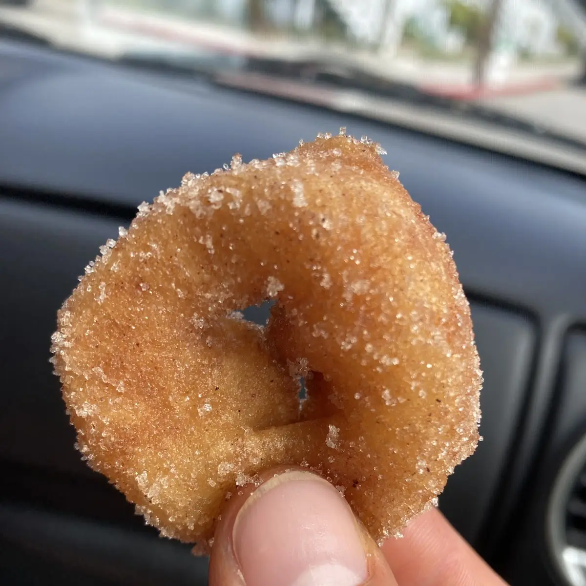 Cinnamon Sugar Mini Donut