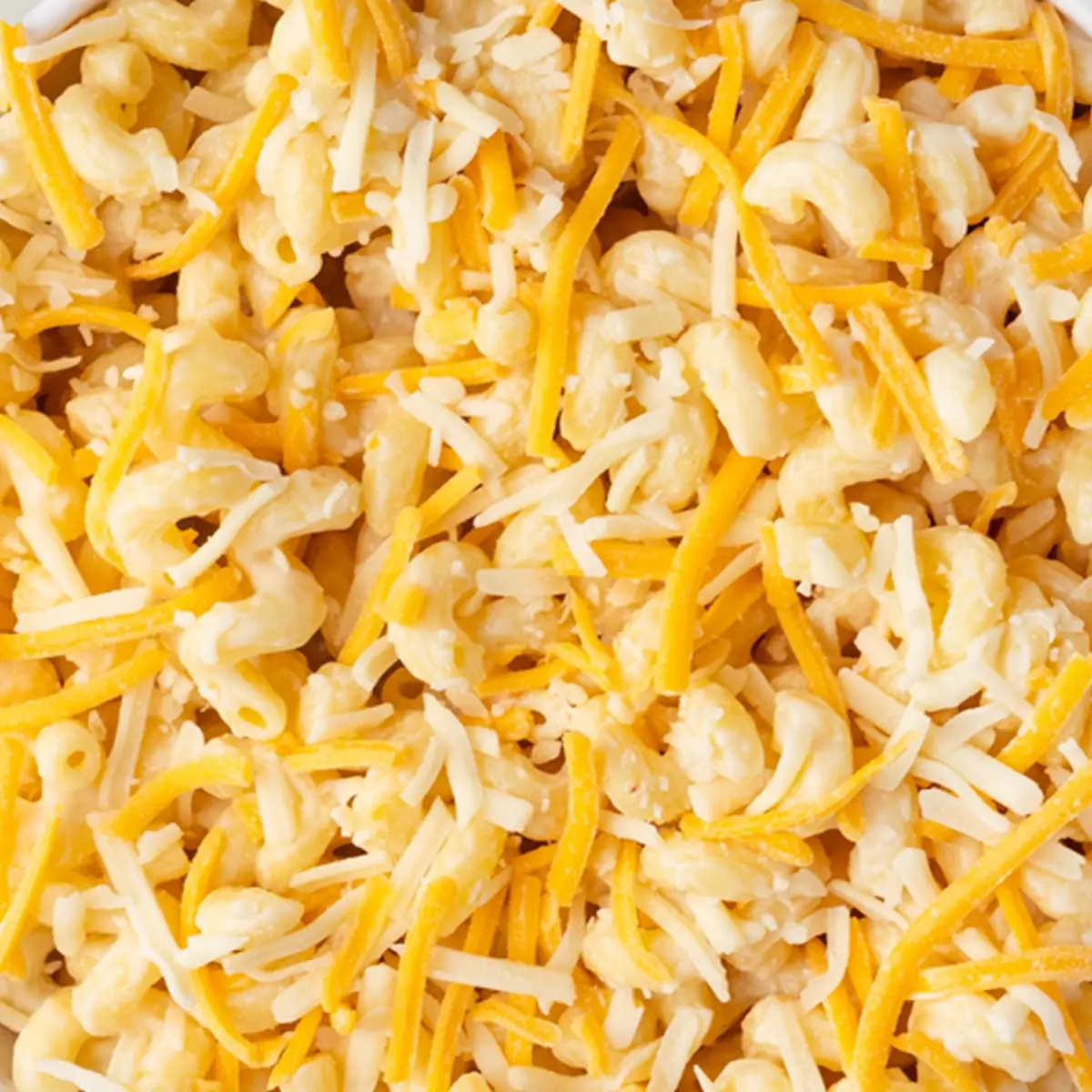 Cheddar Cheese