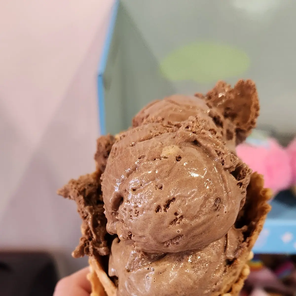 Chocolate Ice Cream Cone