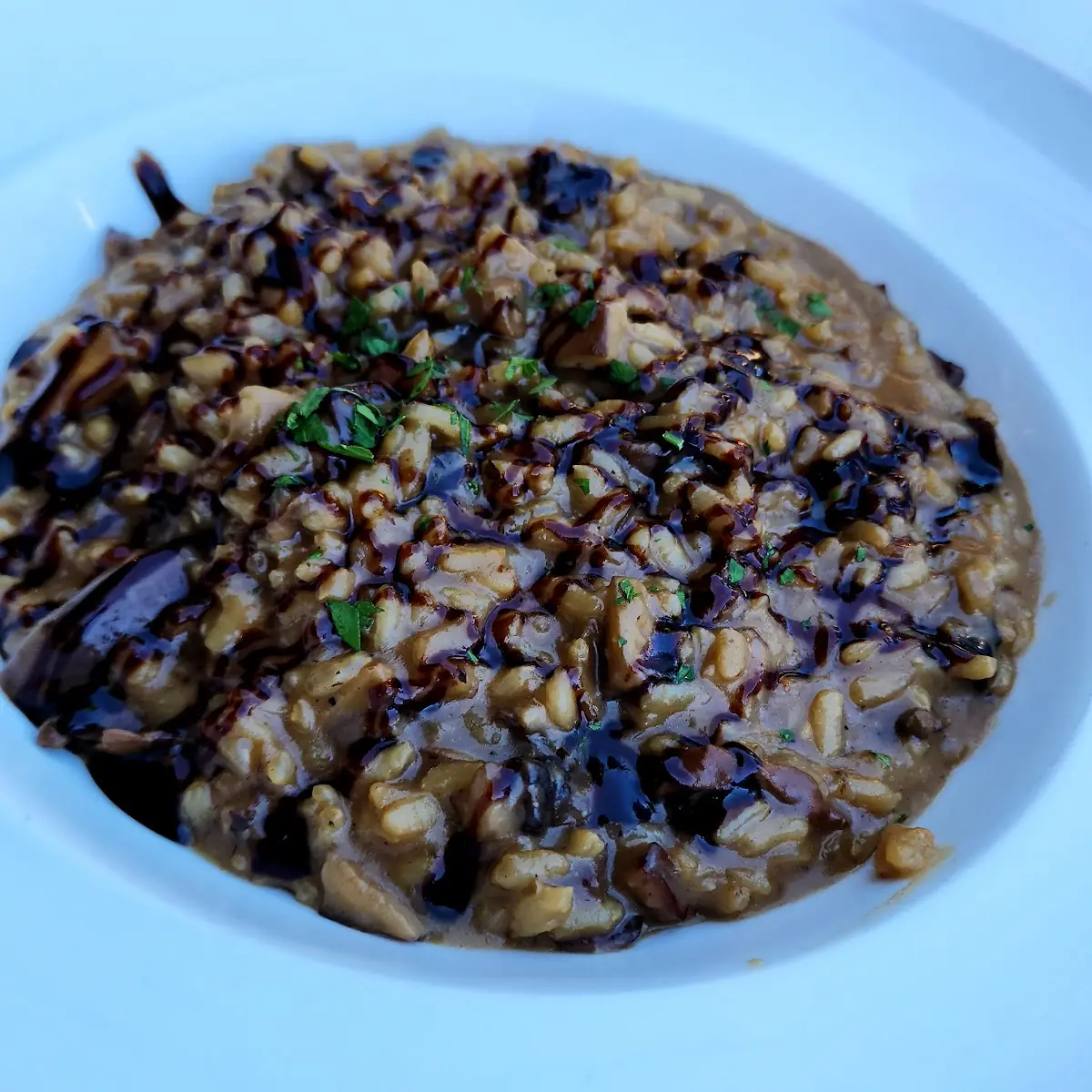 Mushroom Risotto