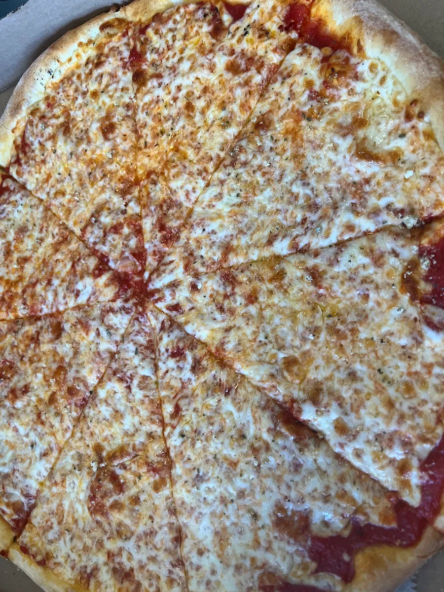 Plain Cheese Pizza