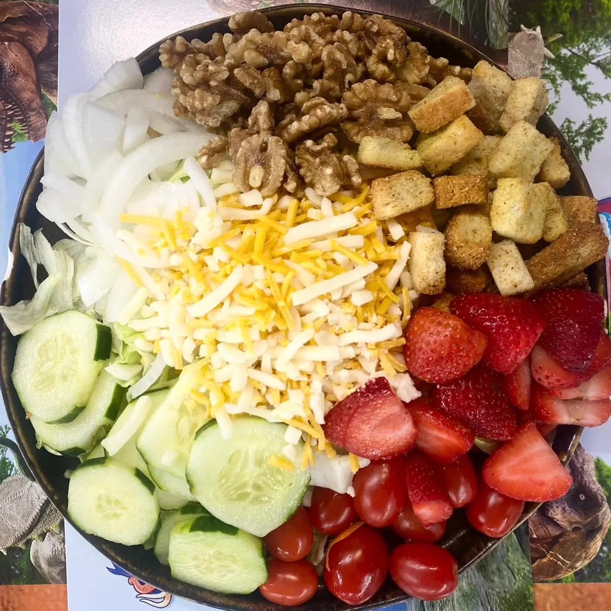 Dinoland Garden Salad