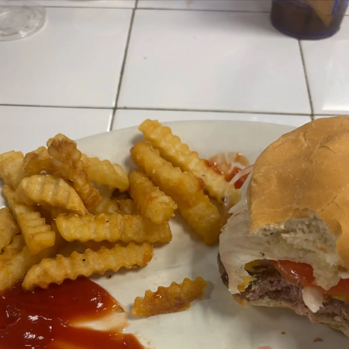 Regular Cheese Burger with Fries