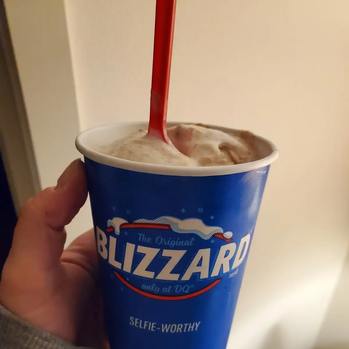 Cookie Dough Blizzard