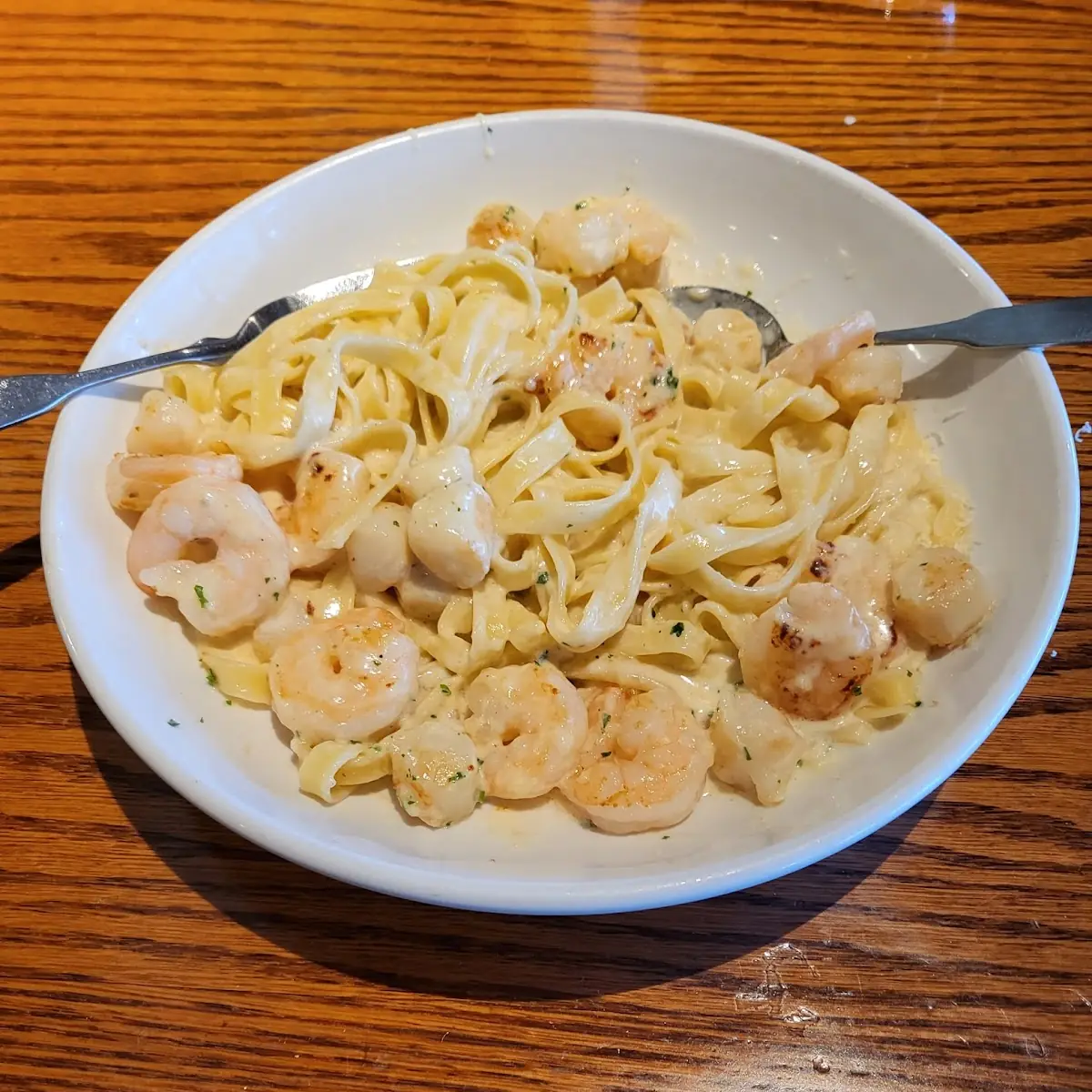 Shrimp Alfredo