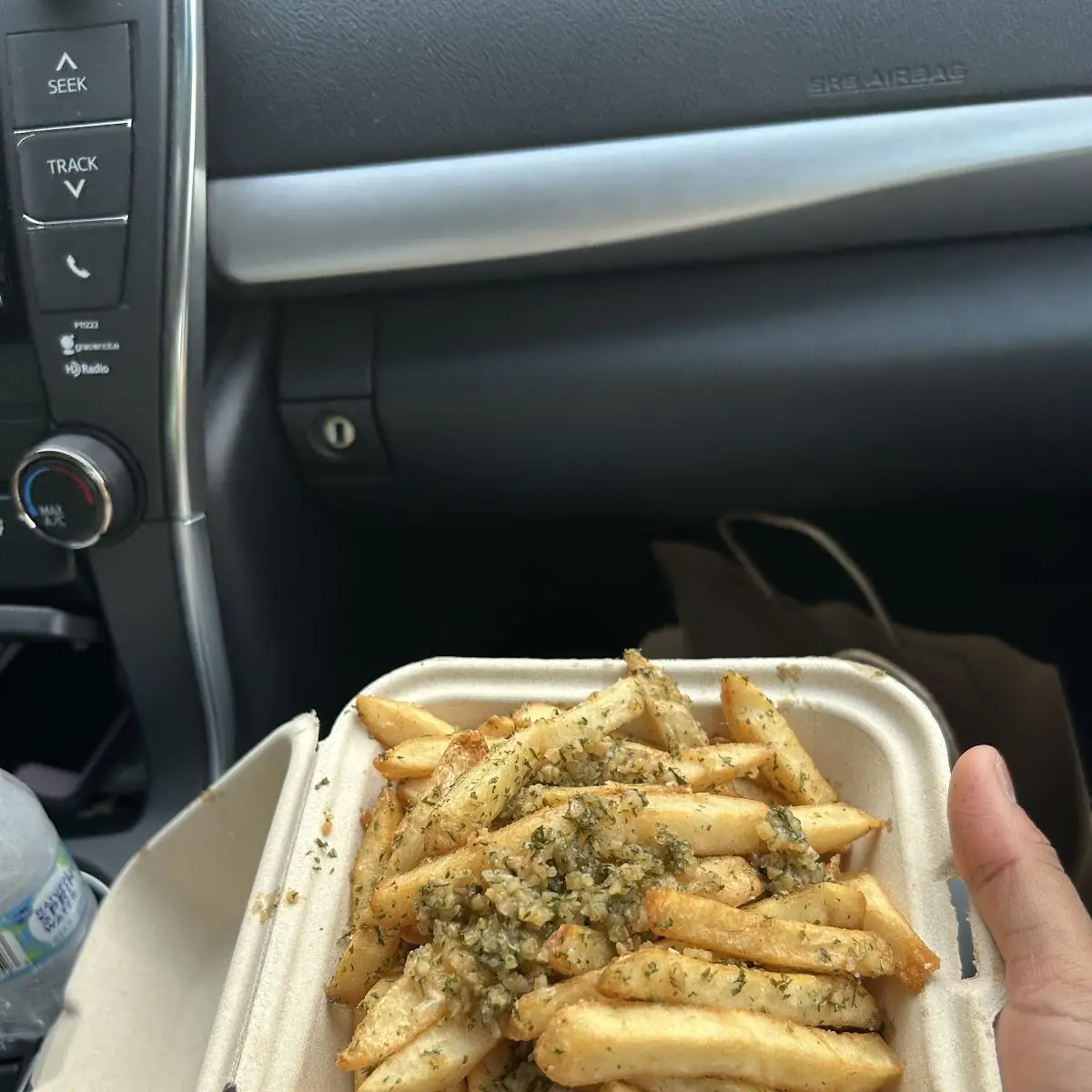 Zucchini Fries
