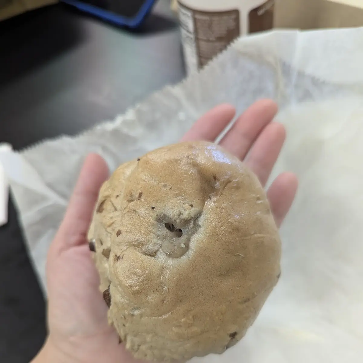 Chocolate Chip