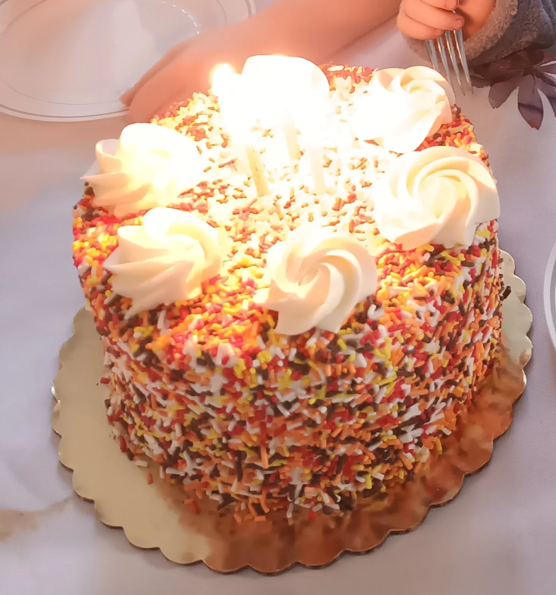 7 1 2 Half Vanilla Half Chocolate Cake