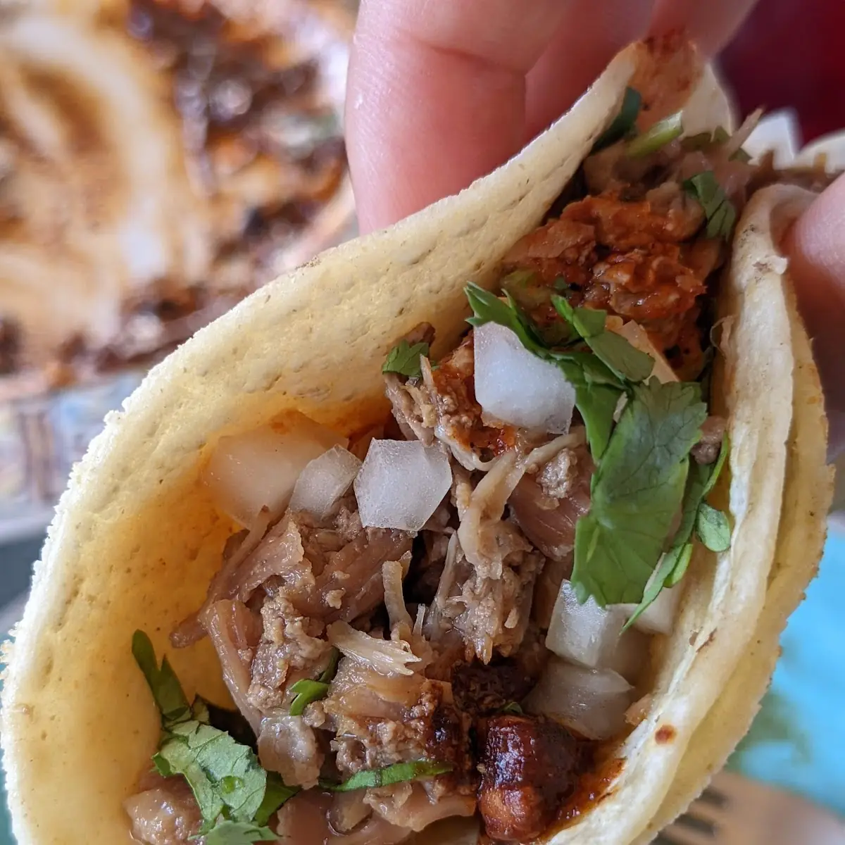Carnitas Taco