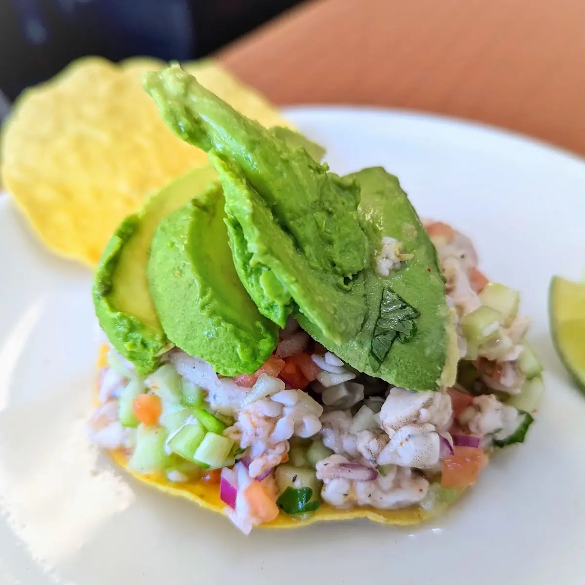 Shrimp Ceviche Tostada