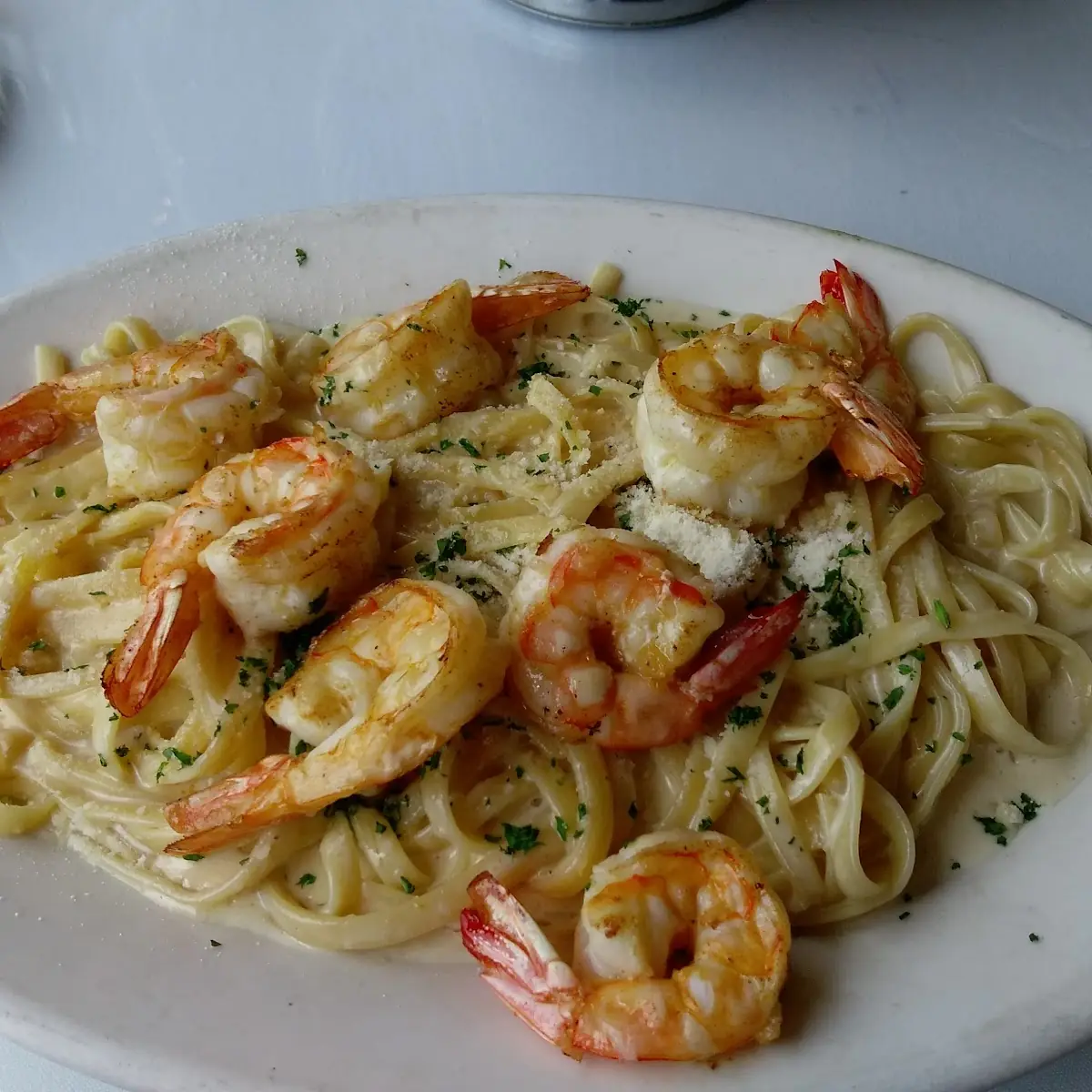 Shrimp Alfredo