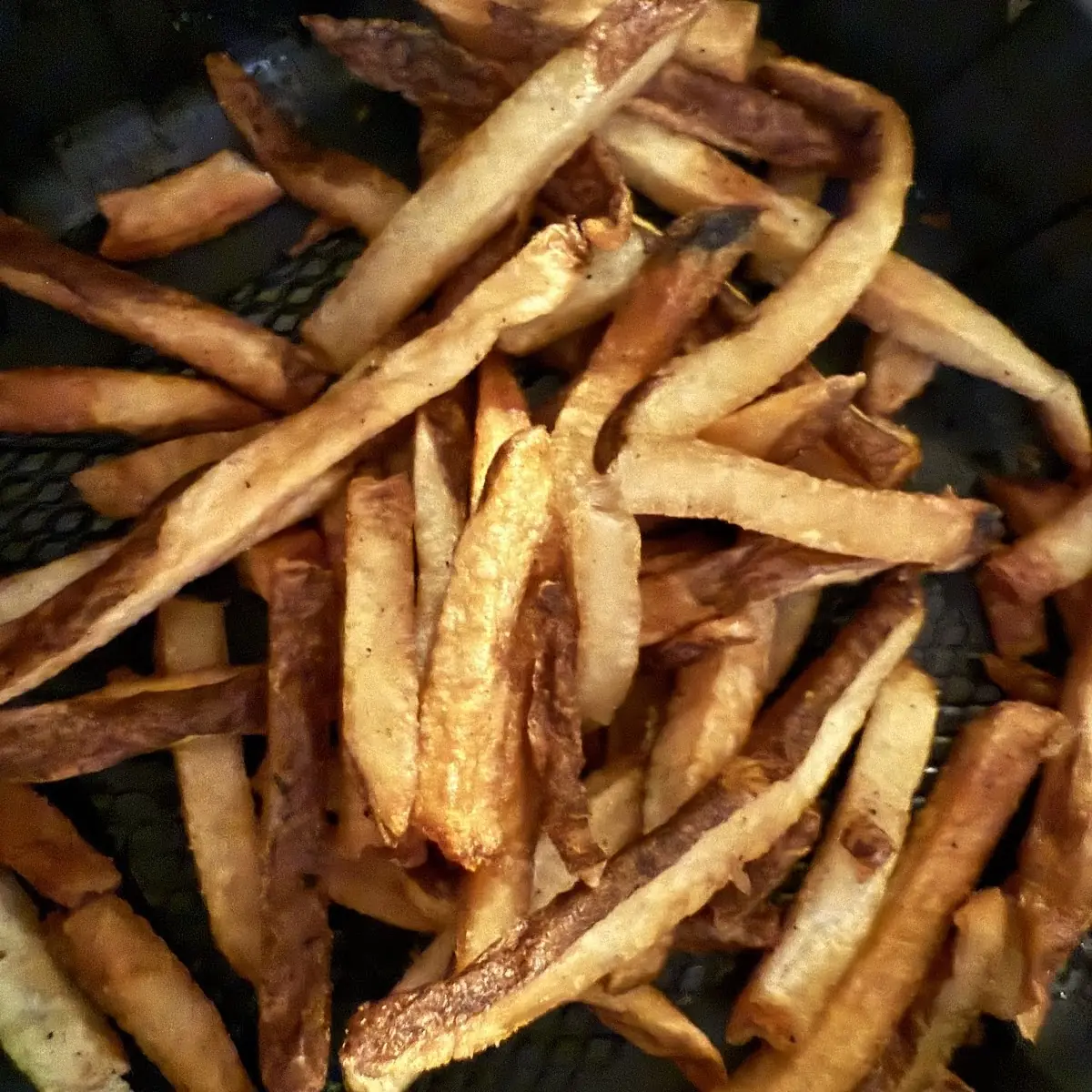 Fresh Cut Fries