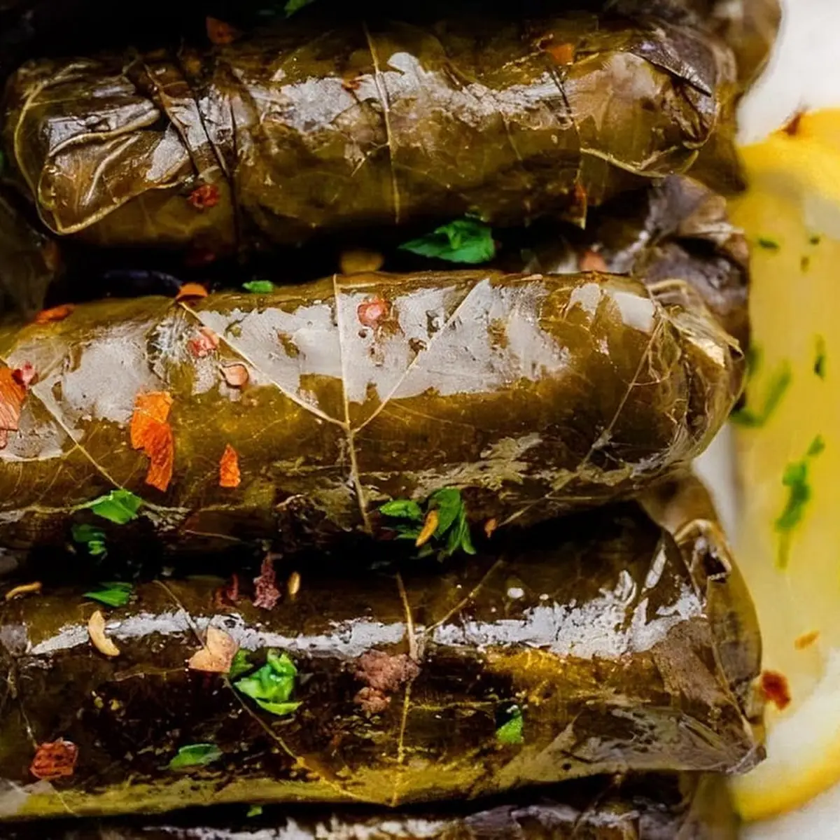 Grape Leaves