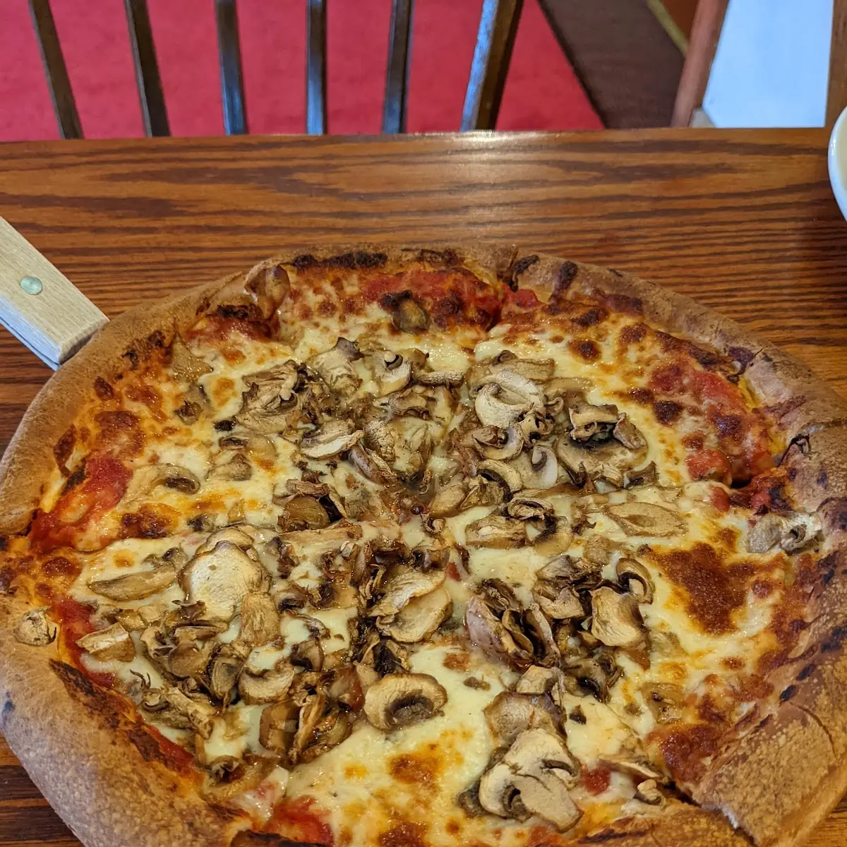 Mushroom Pizza