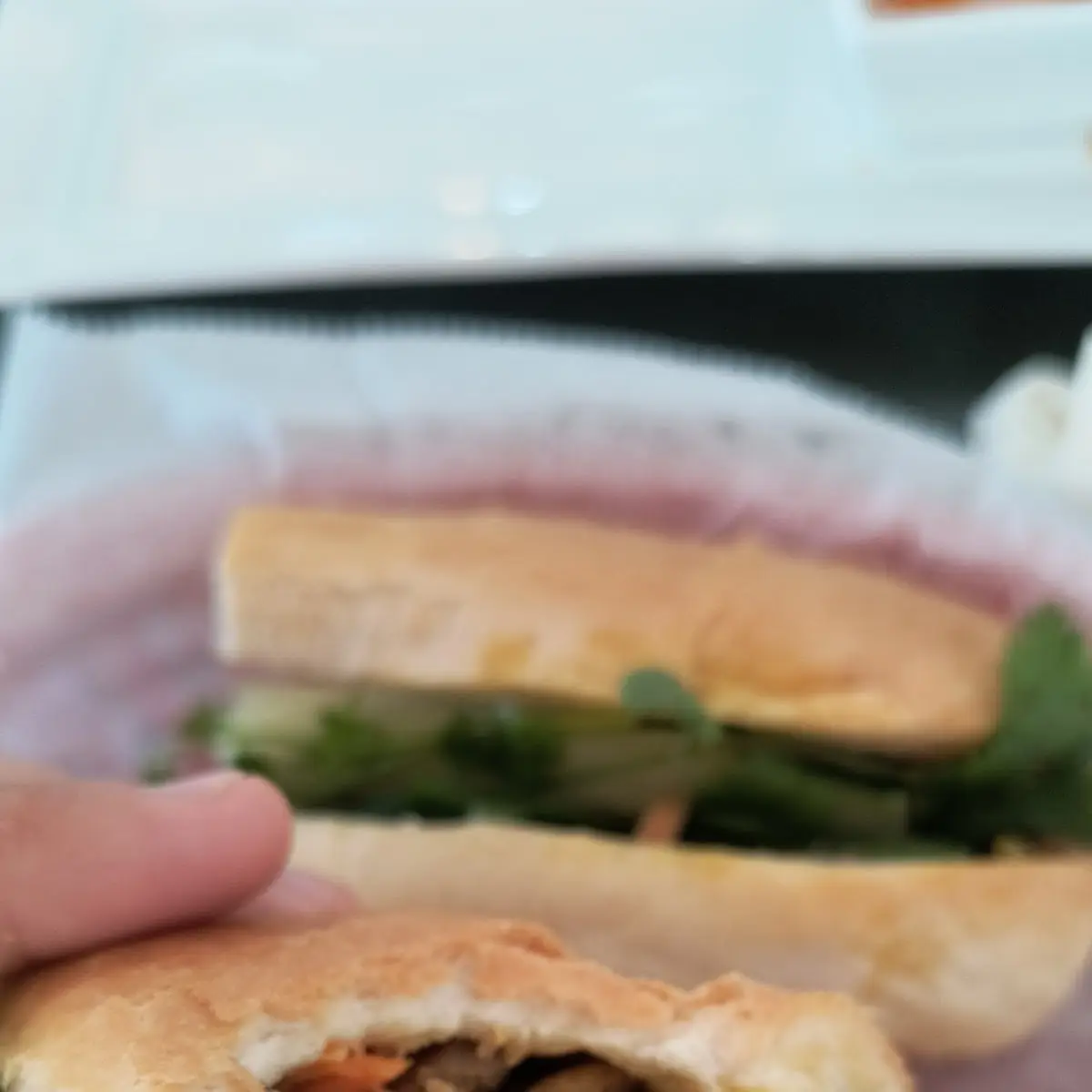 Special Banh MI