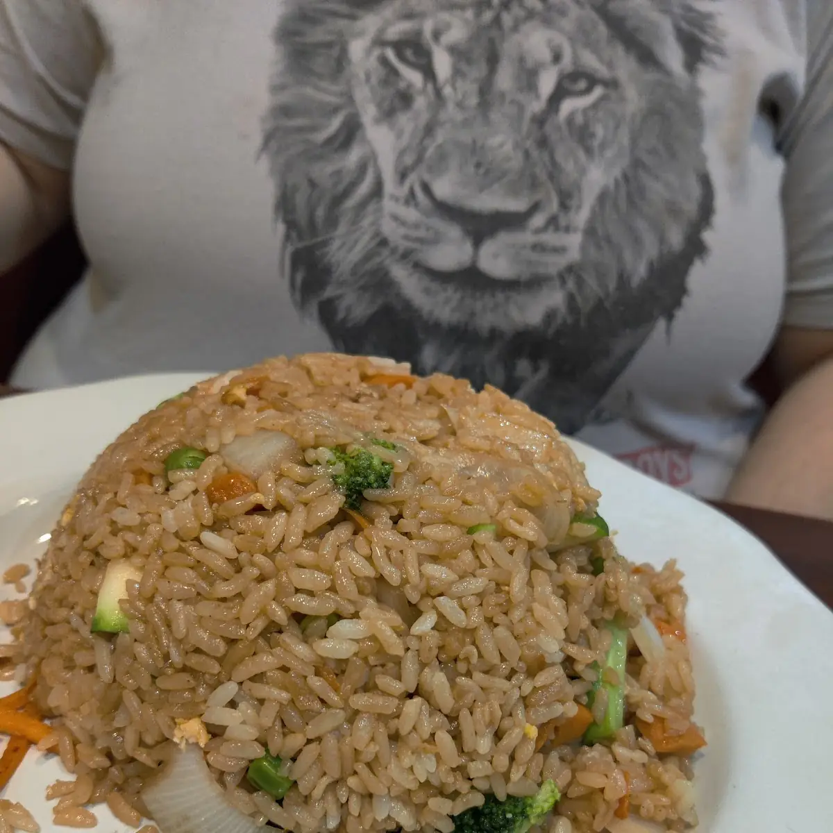 House Special Fried Rice