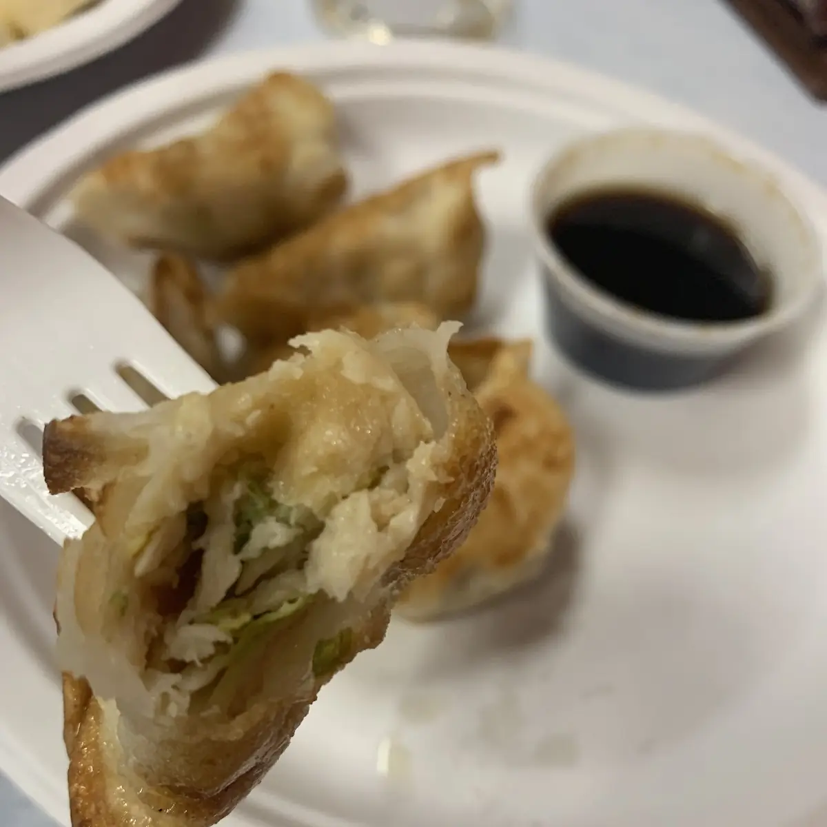 Steamed or Fried Dumplings