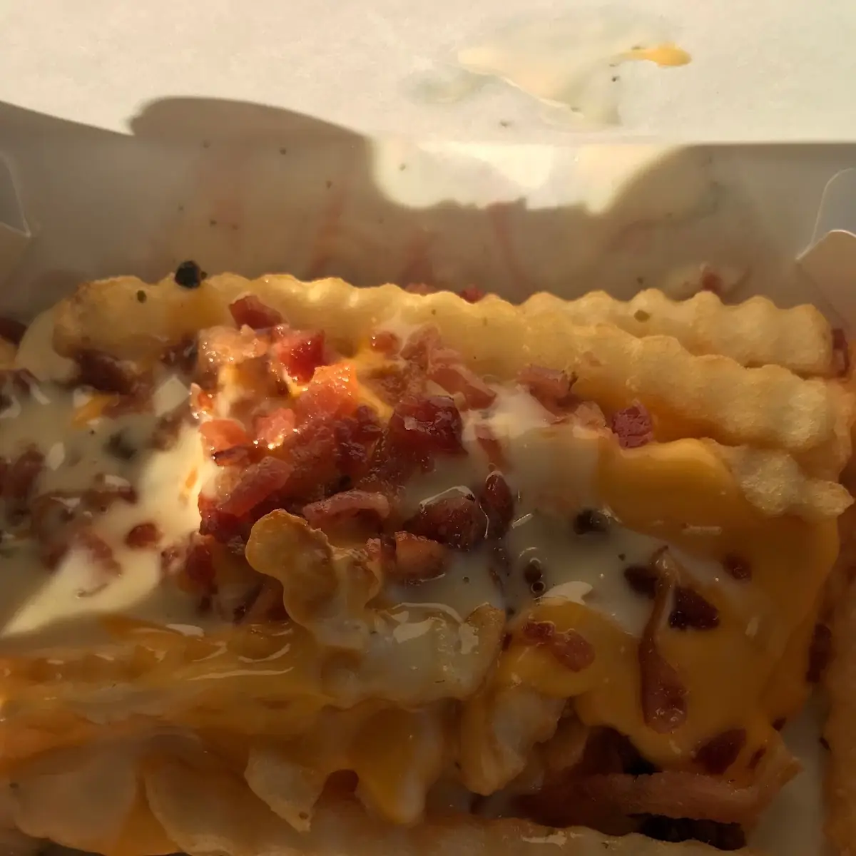 Bacon Ranch Cheese Fries