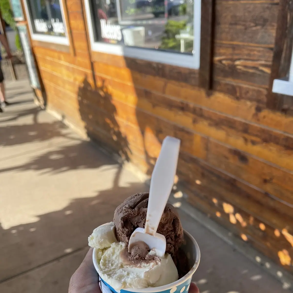 Chocolate and Vanilla Ice Cream