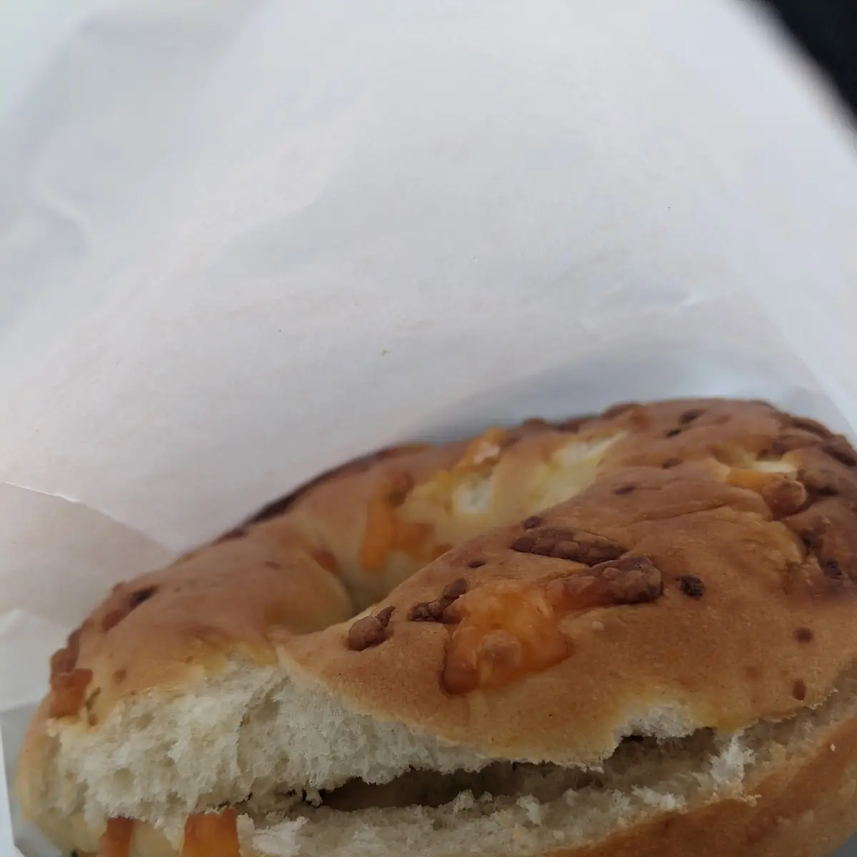 Cheddar Bagels