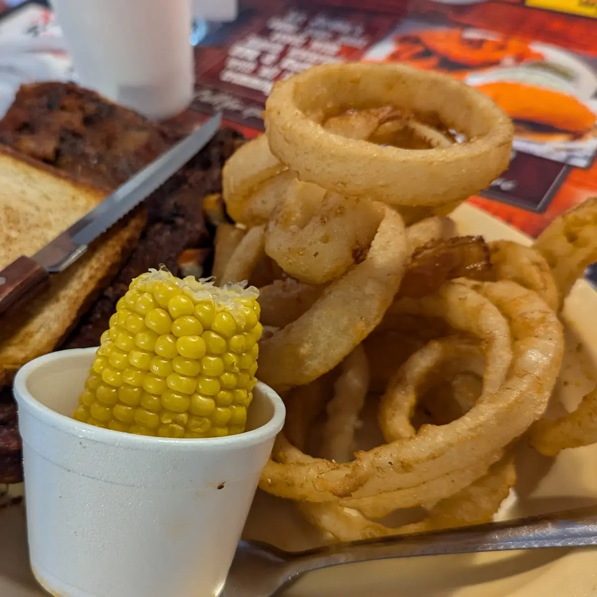 Ribs and Onion Rings