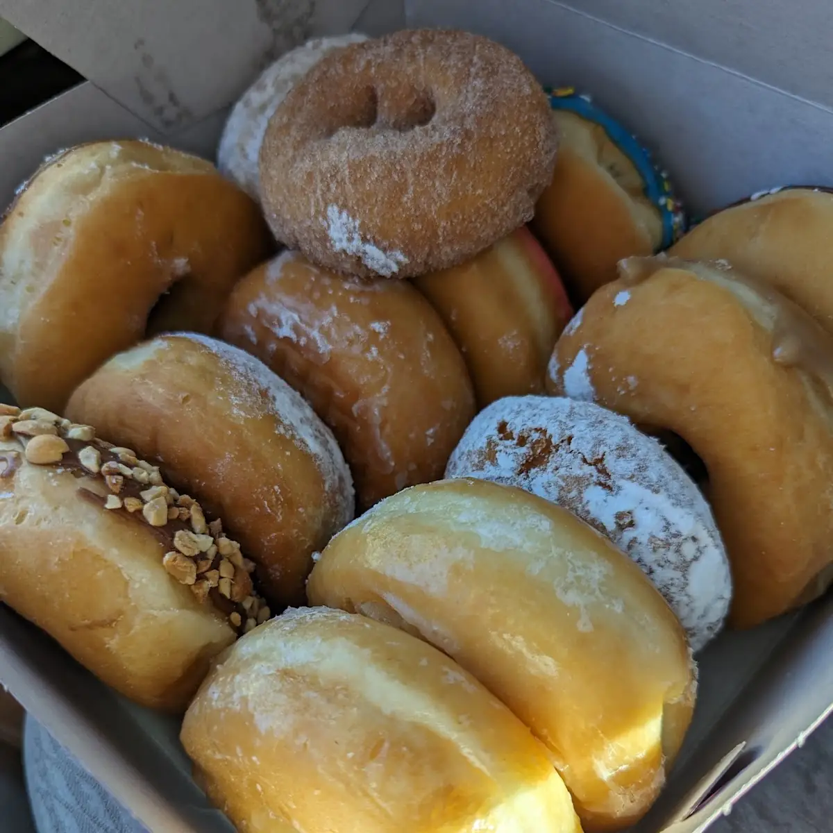 Dozen Special Donut