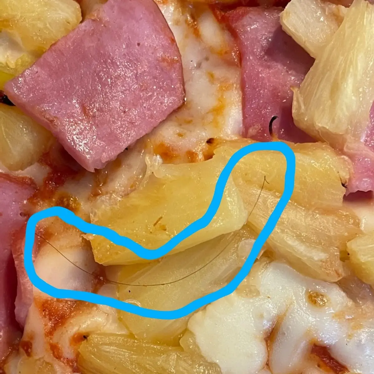 Hawaiian Pizza