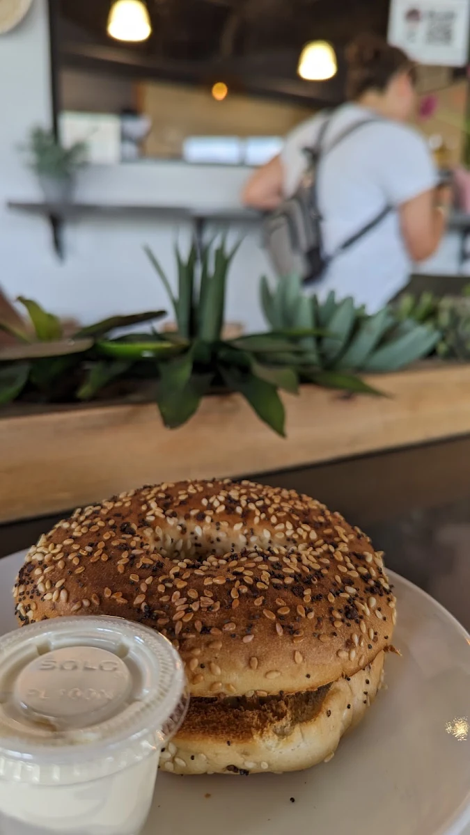 Plain Bagel