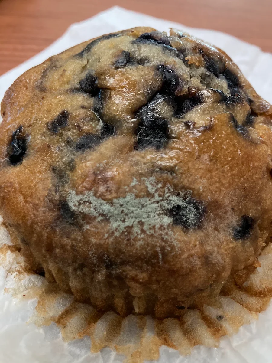 Blueberry Muffin