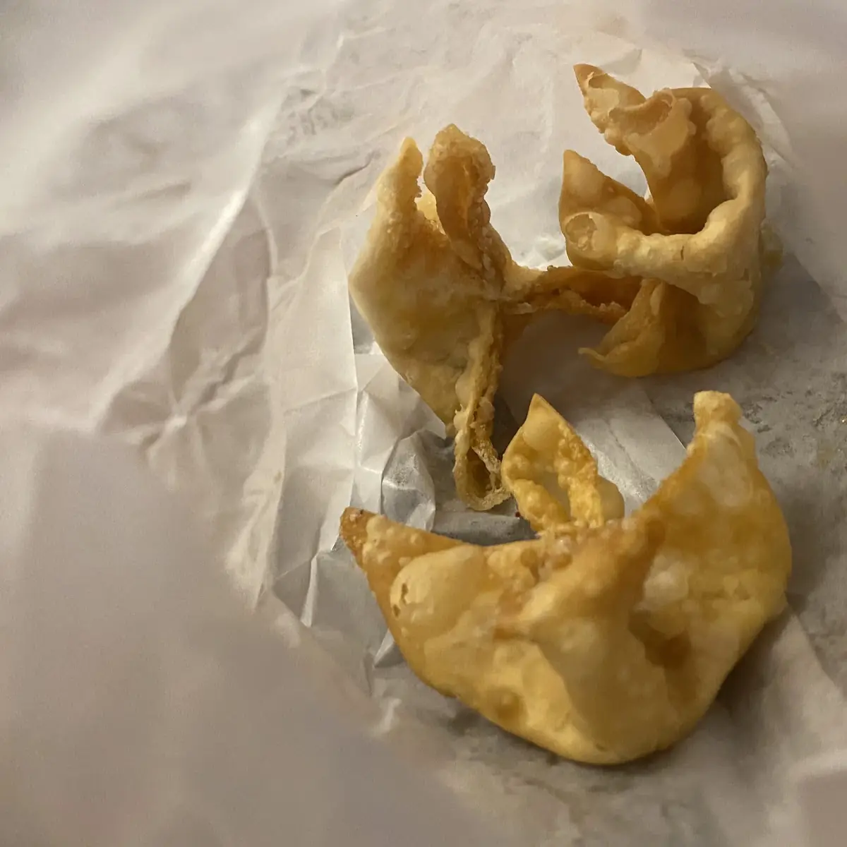 Fried Wonton Pork