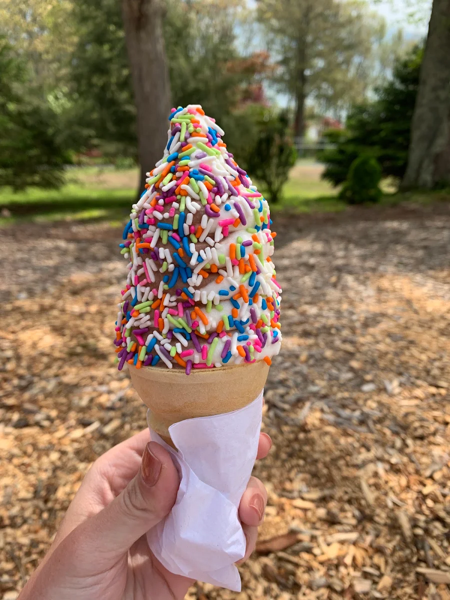 Soft Serve