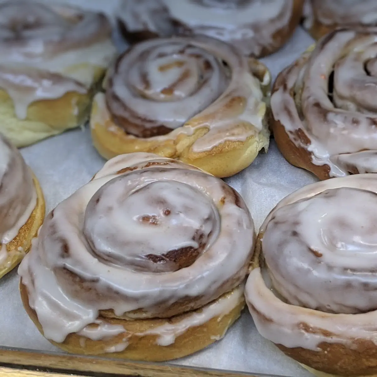 Cinnamon Roll