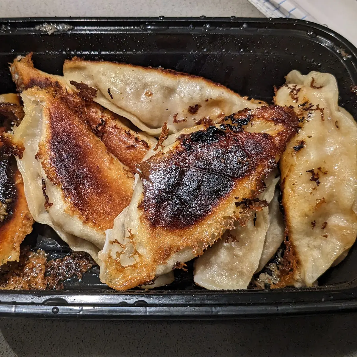 Pan-Fried Pork Dumplings