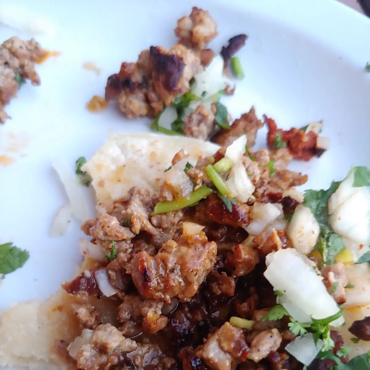 Greasy Asada Taco