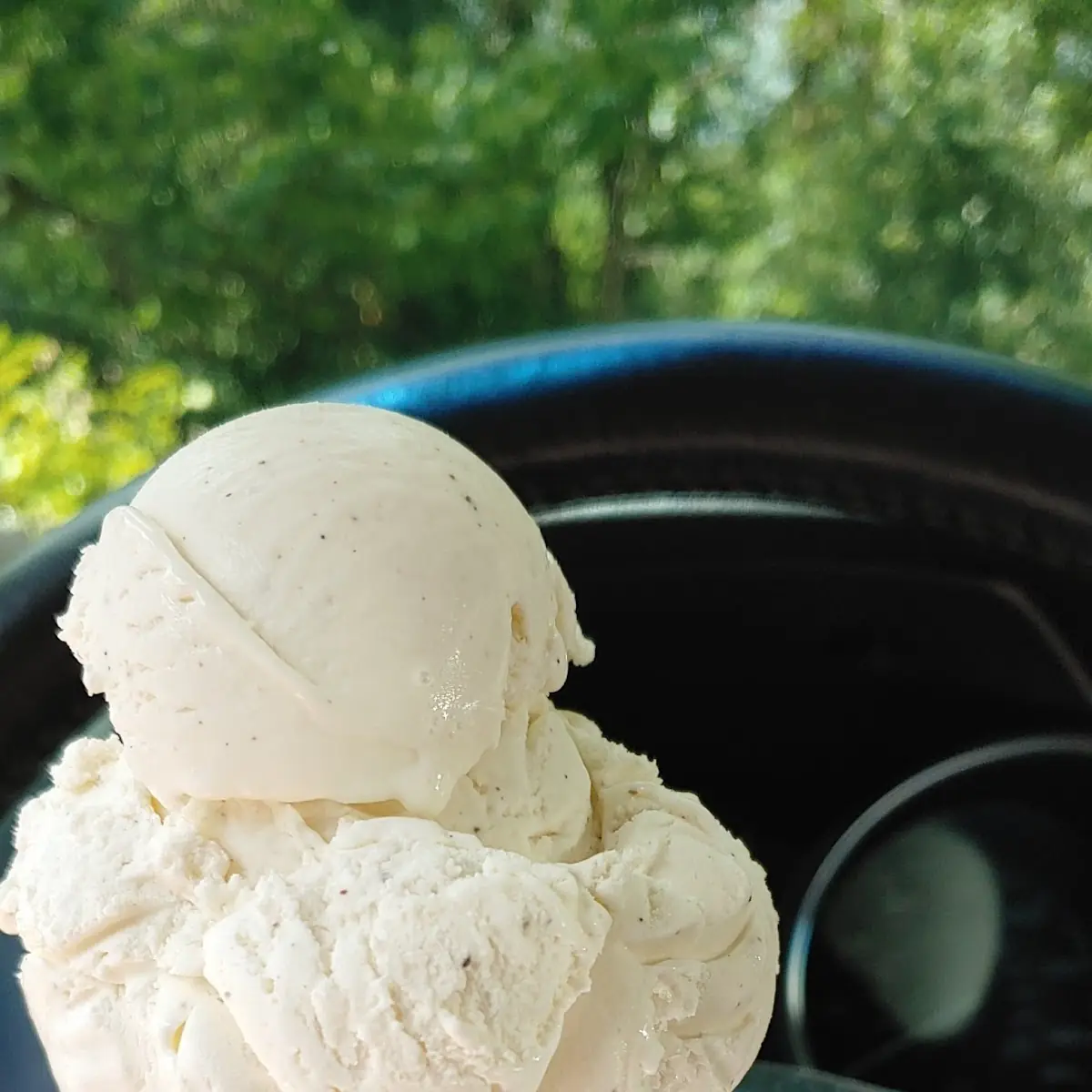 Vanilla Cone