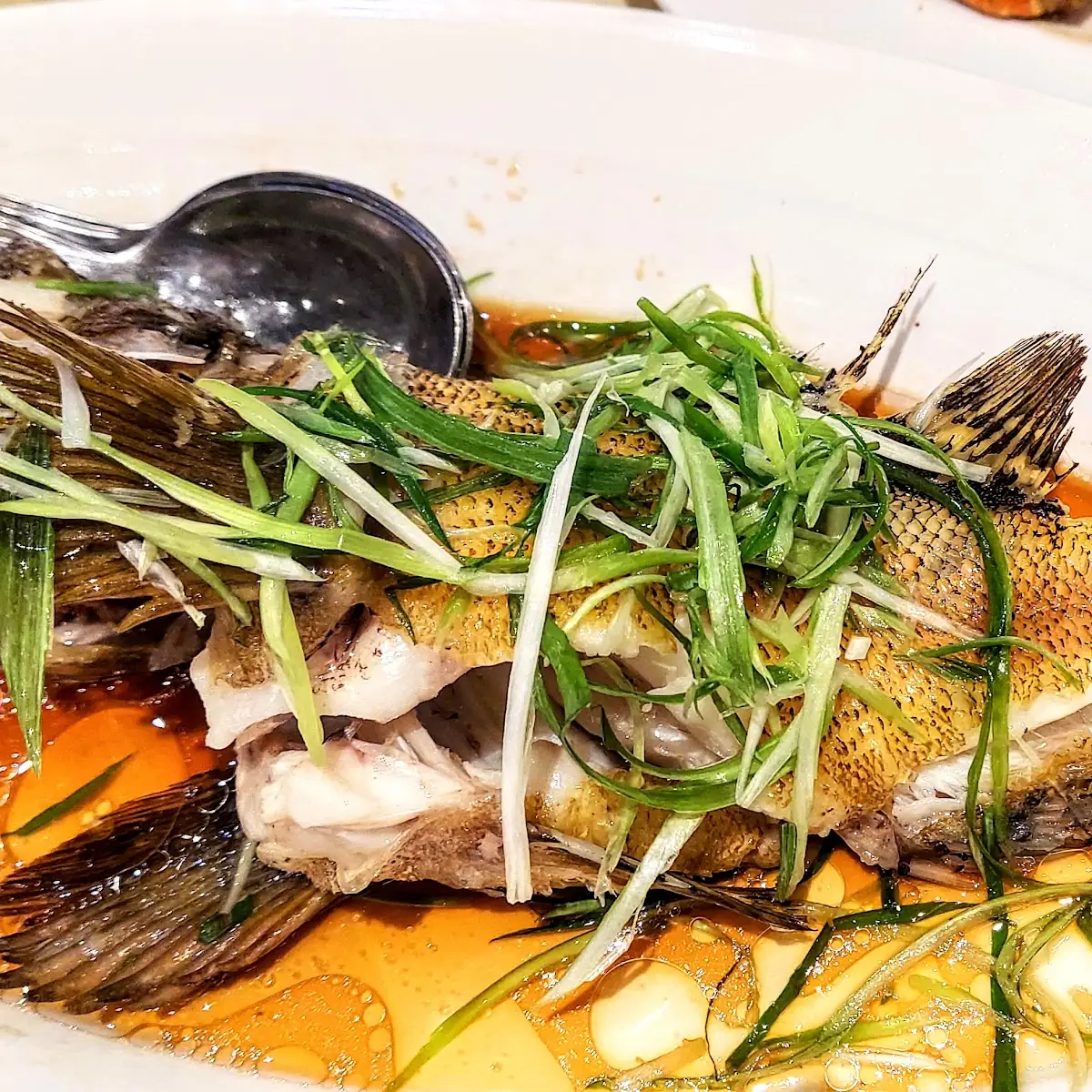 Steamed Fish Head in Pepper Sauce TX