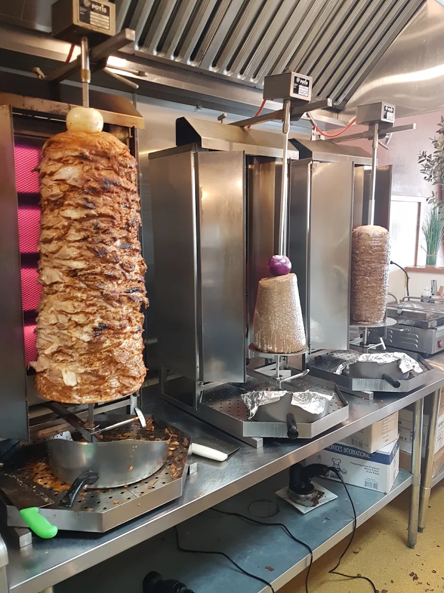 Chicken Gyro and Beef Shawarma