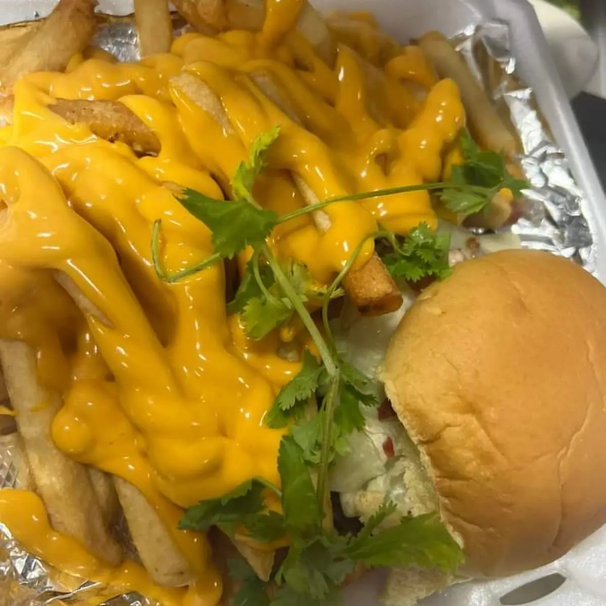 Bacon Burger with Cheese Fries