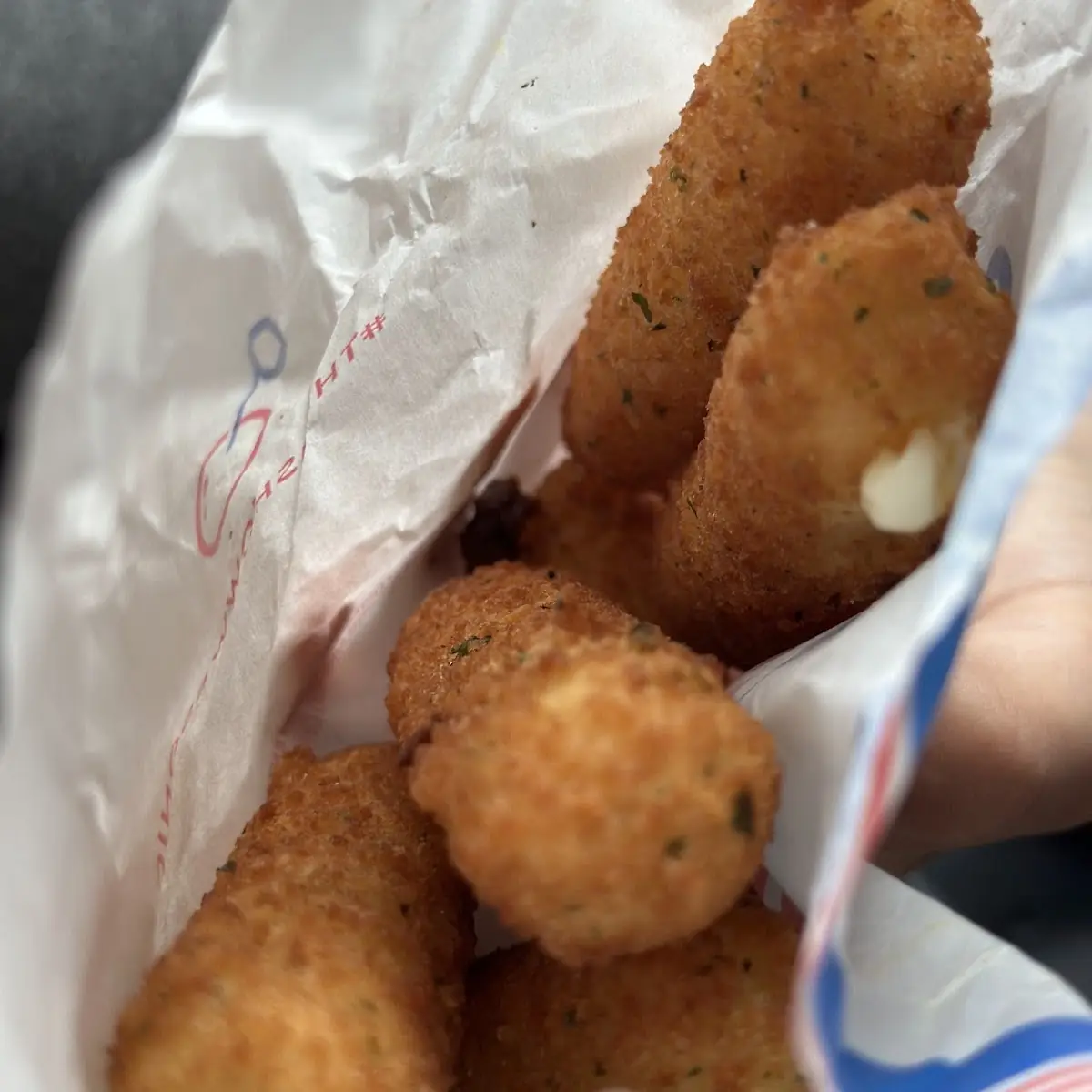 Mozzarella Cheese Sticks