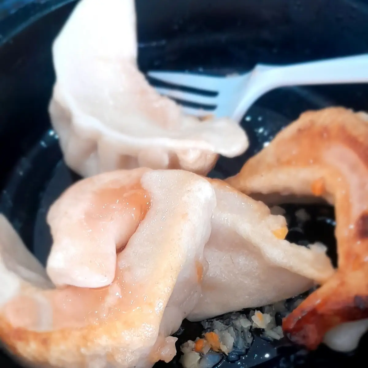 Pan Fried Dumplings