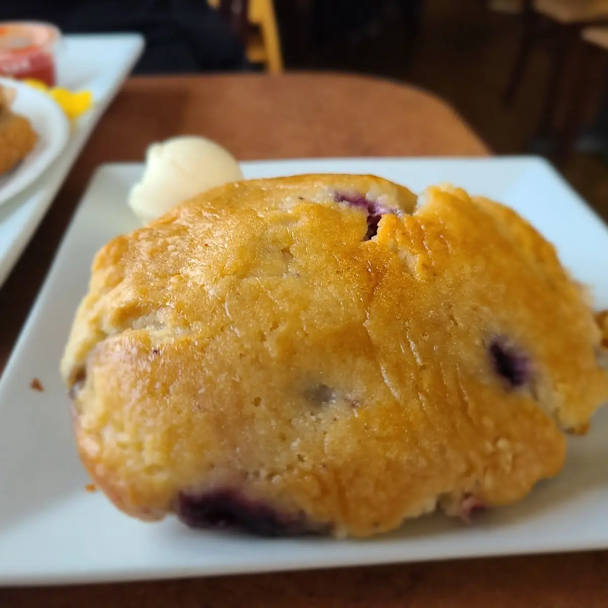Blueberry Muffin