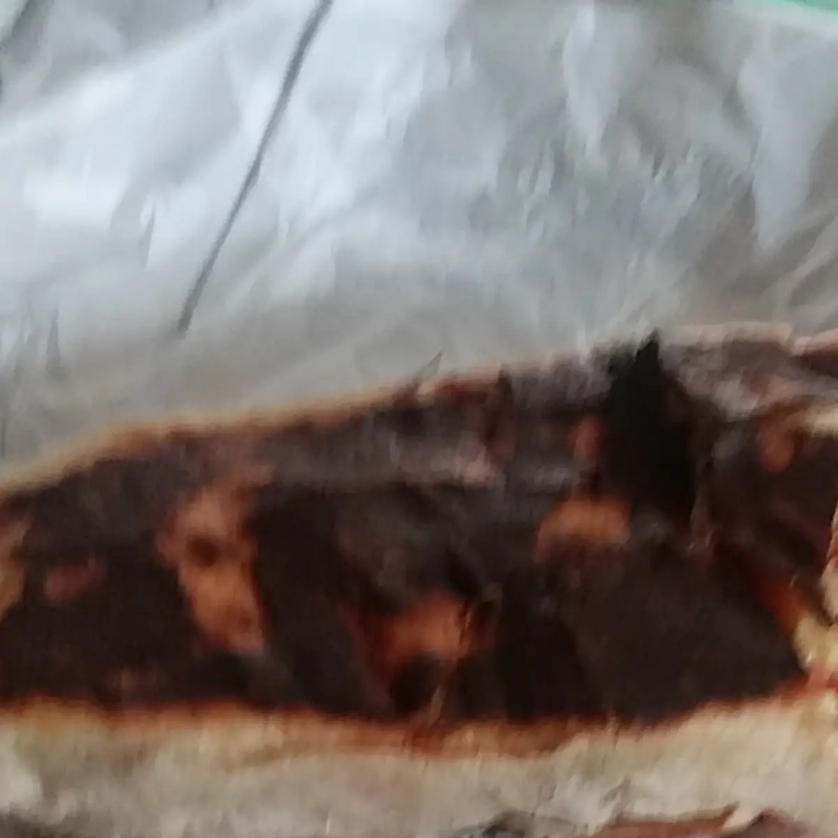 Grande Steak Breakfast Burrito