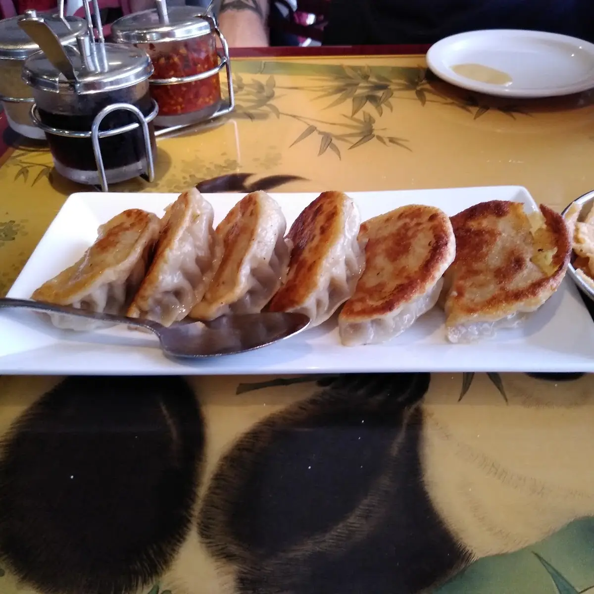 Pan Fried Dumplings