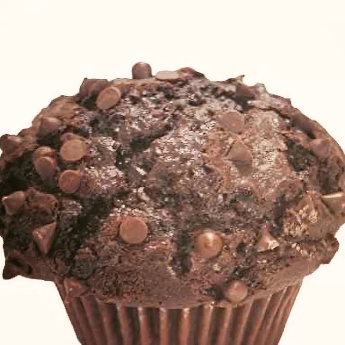 Chocolate Chip Muffin