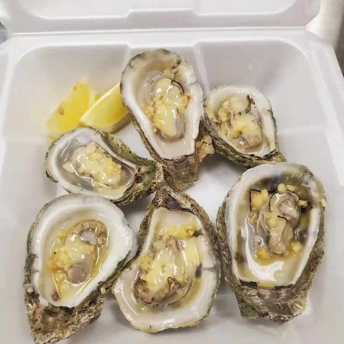 Fresh Oysters Shucked