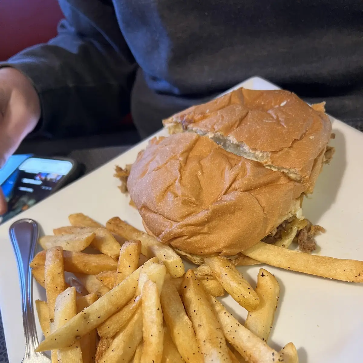 Pulled Pork BBQ w Fries