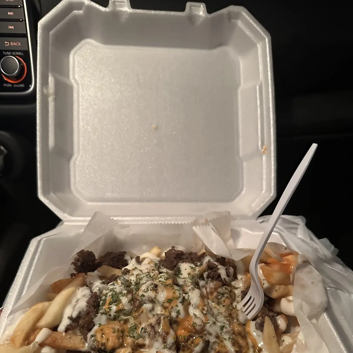 Carne Asada Fries