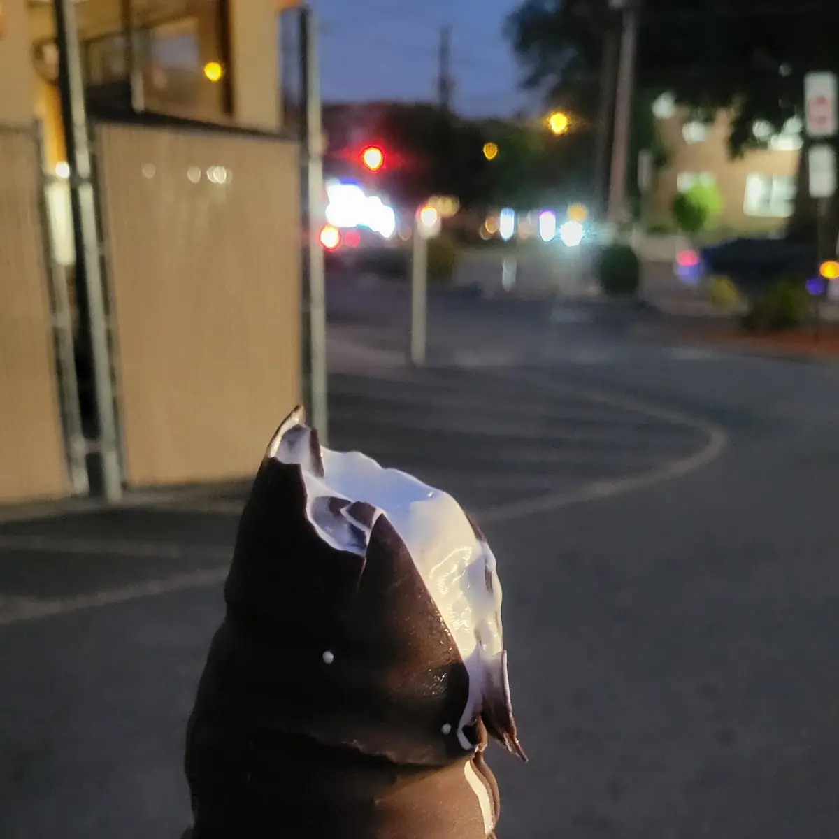 Large Vanilla Cone Dipped in Chocolate